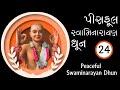 Peaceful Swaminarayan Dhun 24 | પીસફુલ સ્વામિનારાયણ ધૂન ૨૪ | Sadhu Harigun