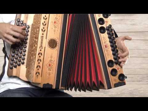 Ziachfuchs  "Alpler Polka"