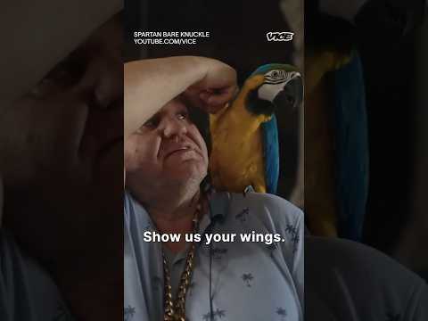 Video Thumbnail: Meet Stormin' Norman the Doorman, former British bare knuckle champion