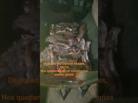 de Paseo por Coronel Moldes SALTA