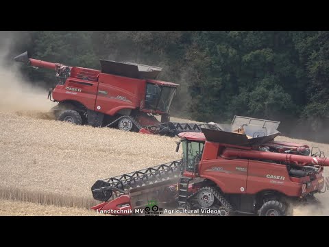 Case - John Deere / Getreideernte - Grain Harvest  2021