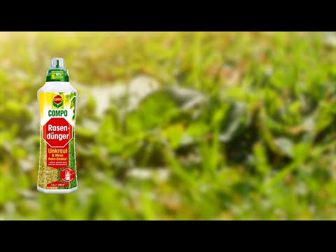 Rasendünger Unkraut & Moos-Nein danke! - Der Dünger zum Aufsprühen