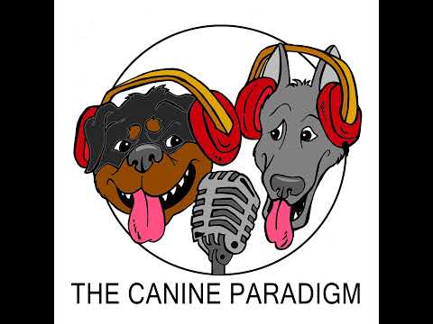 Episode 357: Confusion creates conflict in the dog