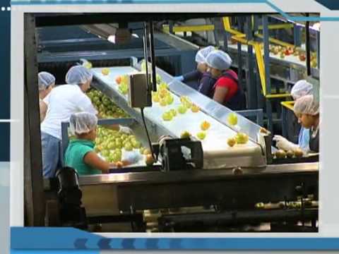 Cultivos del continente americano