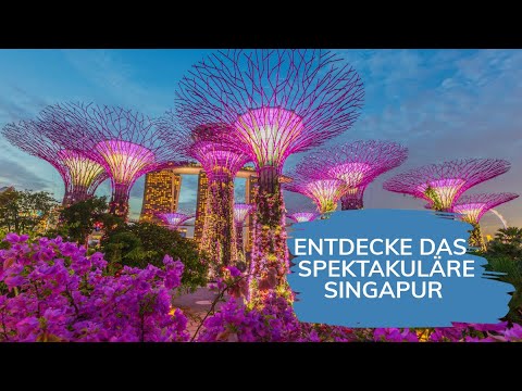 Discover Singapore - a breathtaking city that will surprise you!