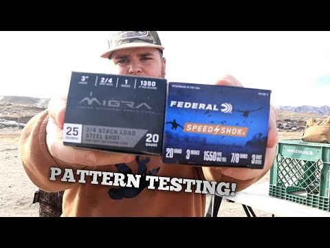 PATTERN TEST! NEW AMMO KING? MIGRA VS FEDERAL!