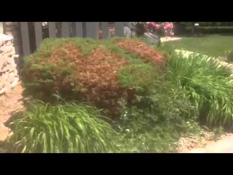 2014 Country House Resort, Sister Bay, WI