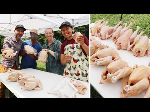 At Home CHICKEN PROCESSING (3 Months Worth)