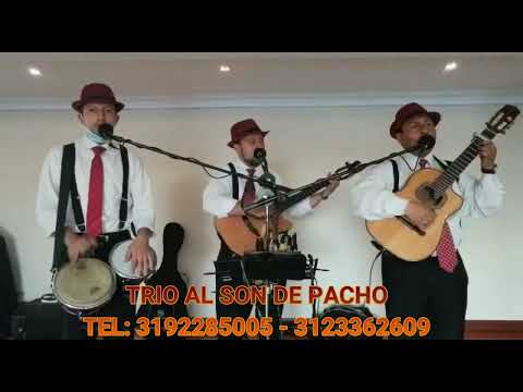 Serenata Mix - Trio Al son de Pacho