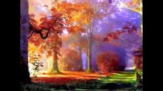 Llorarás Lyrics English Translation