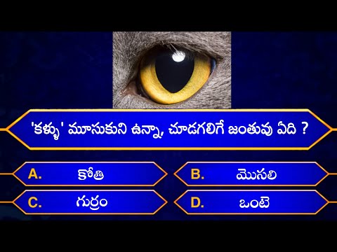 Interesting questions in telugu - episode-3 - unknown facts - genera knowledge - telugu quiz