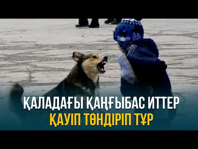 ЖАҢАЛЫҚТАР. 19.09.2023 күнгі шығарылым