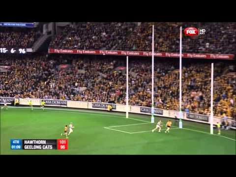 AFL 2013 1st Preliminary Final - Hawthorn vs Geelong last 5 minutes