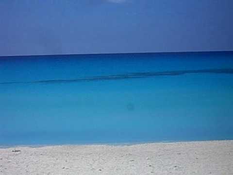 Beer and Lobster at Sherry's after Gulf Stream Crossing