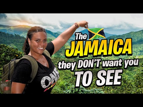 The Wild Journey to Jamaica’s Blue Mountains 😳🇯🇲 I Wasn’t Ready for This!