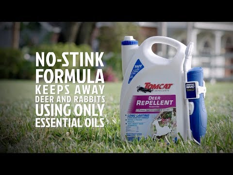 How to Keep Deer and Rabbits Away with Tomcat's No-Stink Formula with Wand