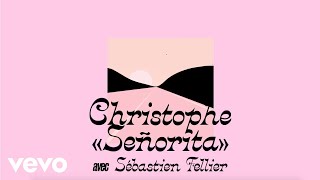 Señorita Music Video