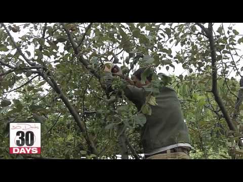 Trey Morgan at East NY