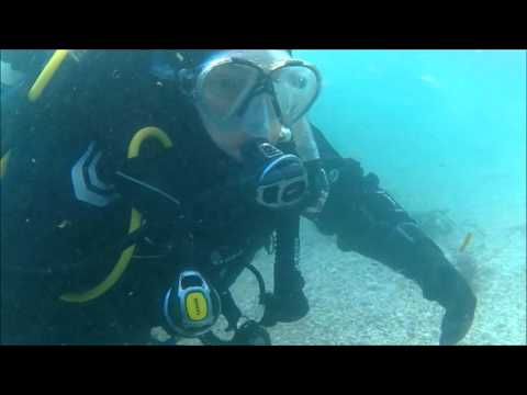 Gyllyngvase beach shore dive, Falmouth, UK 130316