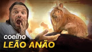Miniatura do vídeo