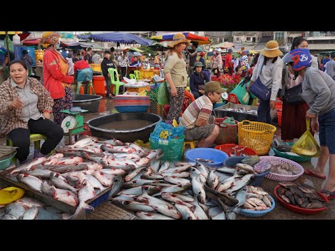 Amazing Second Site Distribute Fish, Dry Fish, Seafood & More - Cambodian Fish Market Scene 2023
