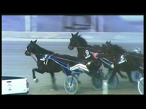 Trotto 24/01/2020 - 5ª corsa