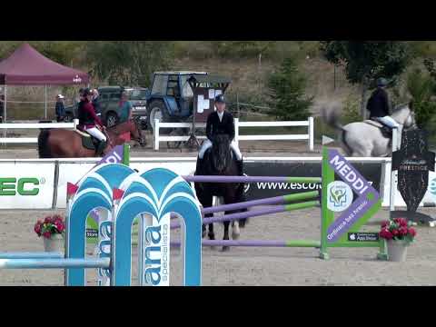 Czech Junior Cup (L**/S* 120/125 cm – finále) – Český skokový pohár Opava, 17. 8. 2025