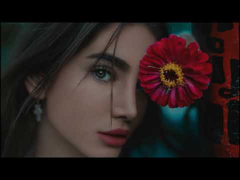 Summer Was Fun & Laura Brehm - Prism [Lyrics]