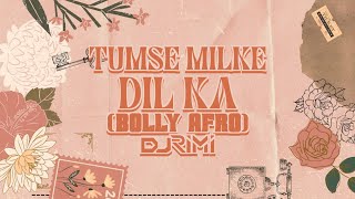 Download lagu TUMSE MILKE DIL KA | BOLLY AFRO | DJ RIMI | MAIN HOON NA | SHAHRUKH KHAN | MASHUP mp3