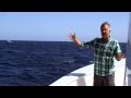 Blue Whale S Brilliant Timing Big Blue Live Preview BBC