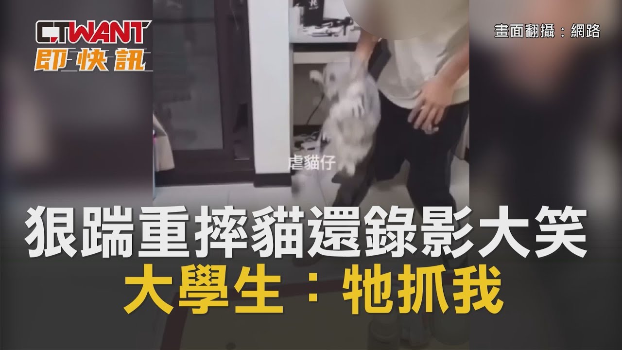 圖說-CTWANT 即時新聞》狠踹重摔貓還錄影大笑　大學生：牠抓我