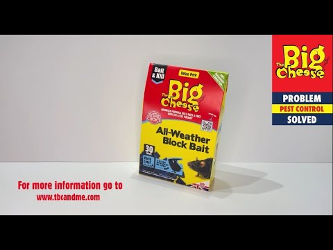 The Big Cheese All-Weather Block Bait - 30x10g STV213 (tbcandme)