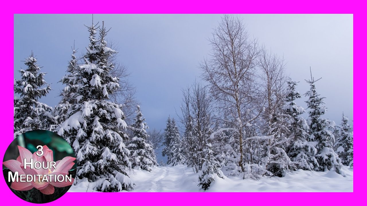 Snow Path in the Trees | Calming Piano Meditation & Sleep Music | 3 Hours