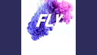 Fly