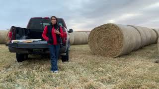 Hay Quality and Forage Testing