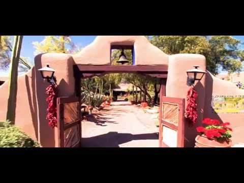 Coyotes Unveil New AHL Team Name and Logo