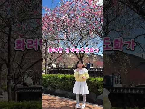 삼색능수도화 피는 도진마을 #고령군sns기자단 김미선