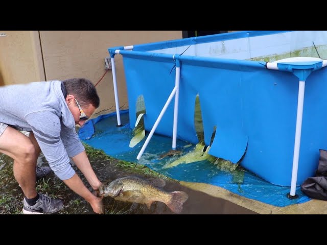 Exploded POND Makes PET FISH RIVER!