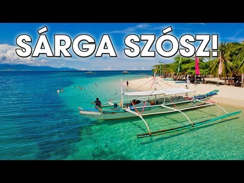Helminták a fülöp-szigeteken Hogy néz ki a féreg