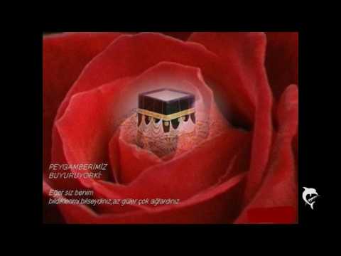 Abdurrahman Önül´den Gökdeki kuslar Allah der Allah