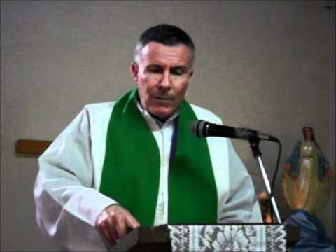 Homilía 17 de Julio de 2011