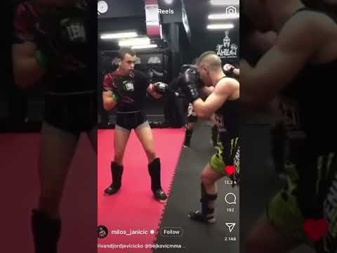 Ognjen Micovic skoluje Marka Bojkovica! #mma #sparring #markobojkovic