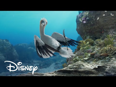 [인어공주] '신기한 세상' 예고편