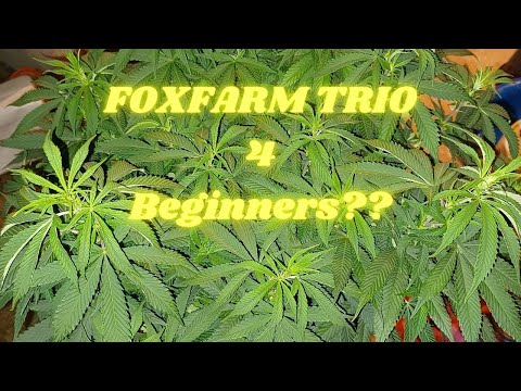 FoxFarm Trio? Should you use it?