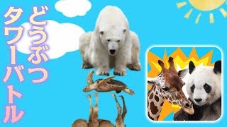 はじめての『どうぶつタワー』&『どうぶつタワーバトル』実況プレイ/Let's Play