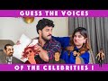 GUESS THESE VOICES