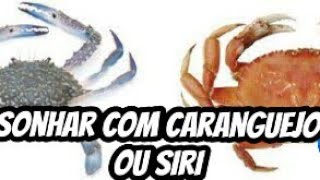 Sonhar com siri ou caranguejo