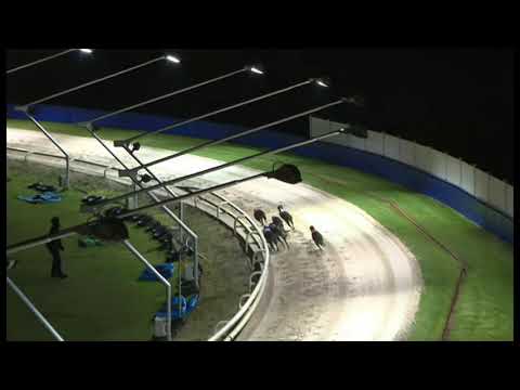 Antigua Romeo - Coral Winter Derby semi 2