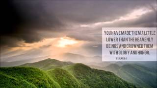 Father of lights - Vineyard