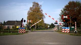 preview picture of video 'Spoorwegovergang Varsseveld, Railroad /Level Crossing'